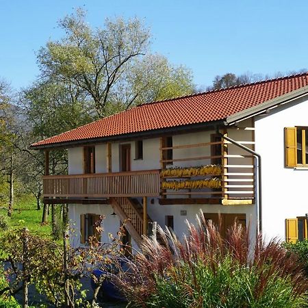 Ecohouse Furlan - Apartment Pinja Kobarid Eksteriør bilde